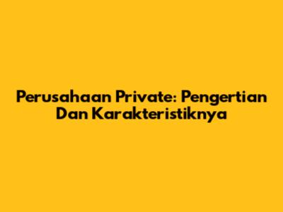 Perusahaan Private: Pengertian Dan Karakteristiknya